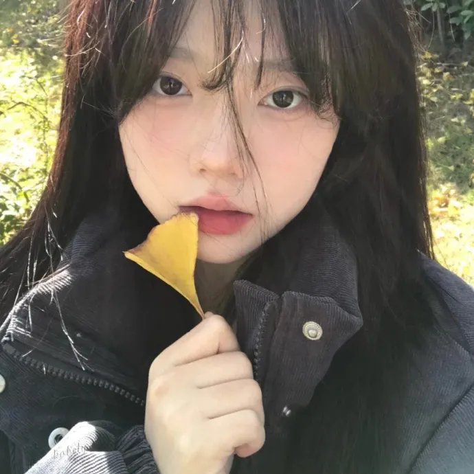小母牛